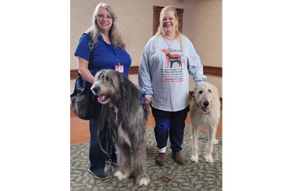 Donna and her dog Albus joined by Sandy and Sir Murphy